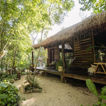 Madre Tierra Eco Habitat Guest House Puerto Morelos Ngoại thất bức ảnh