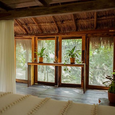 Madre Tierra Eco Habitat Guest House Puerto Morelos Ngoại thất bức ảnh