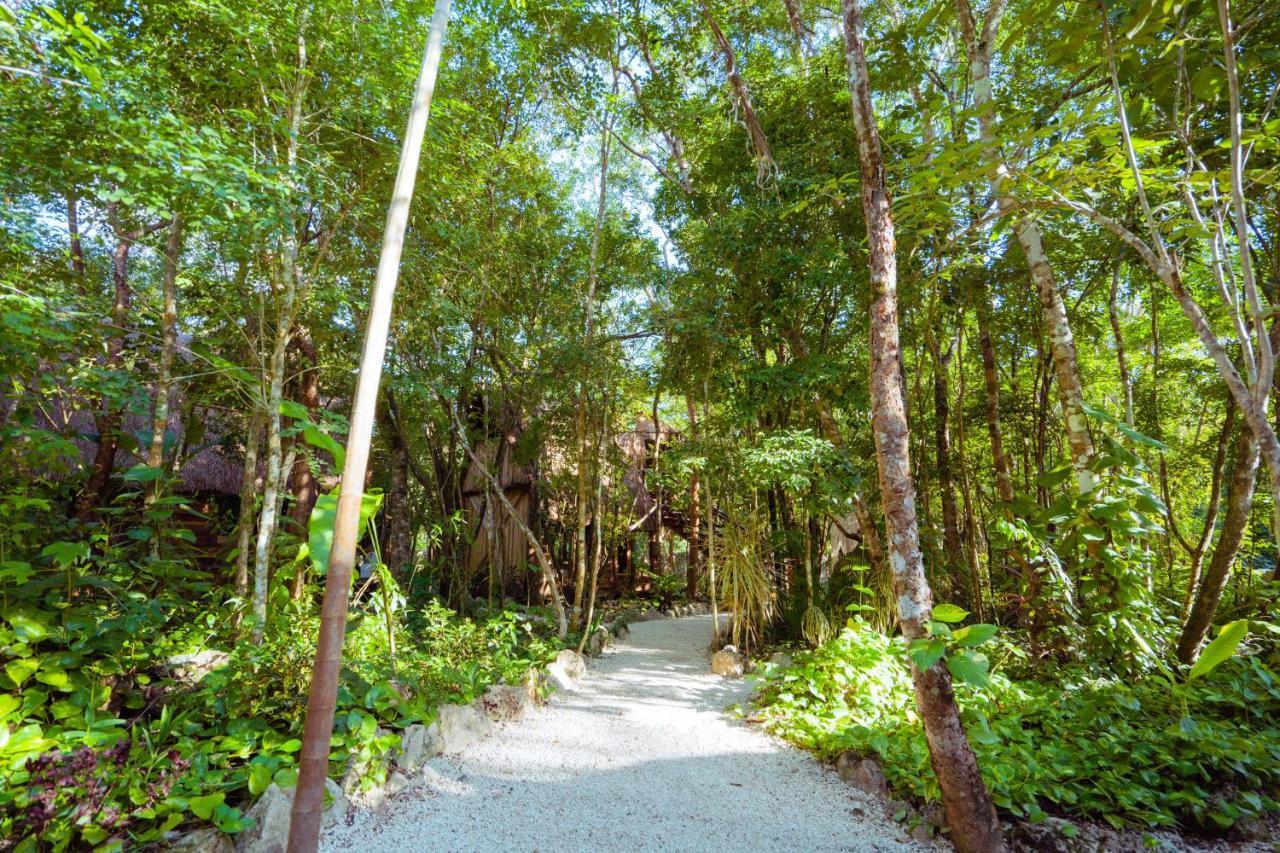 Madre Tierra Eco Habitat Guest House Puerto Morelos Ngoại thất bức ảnh