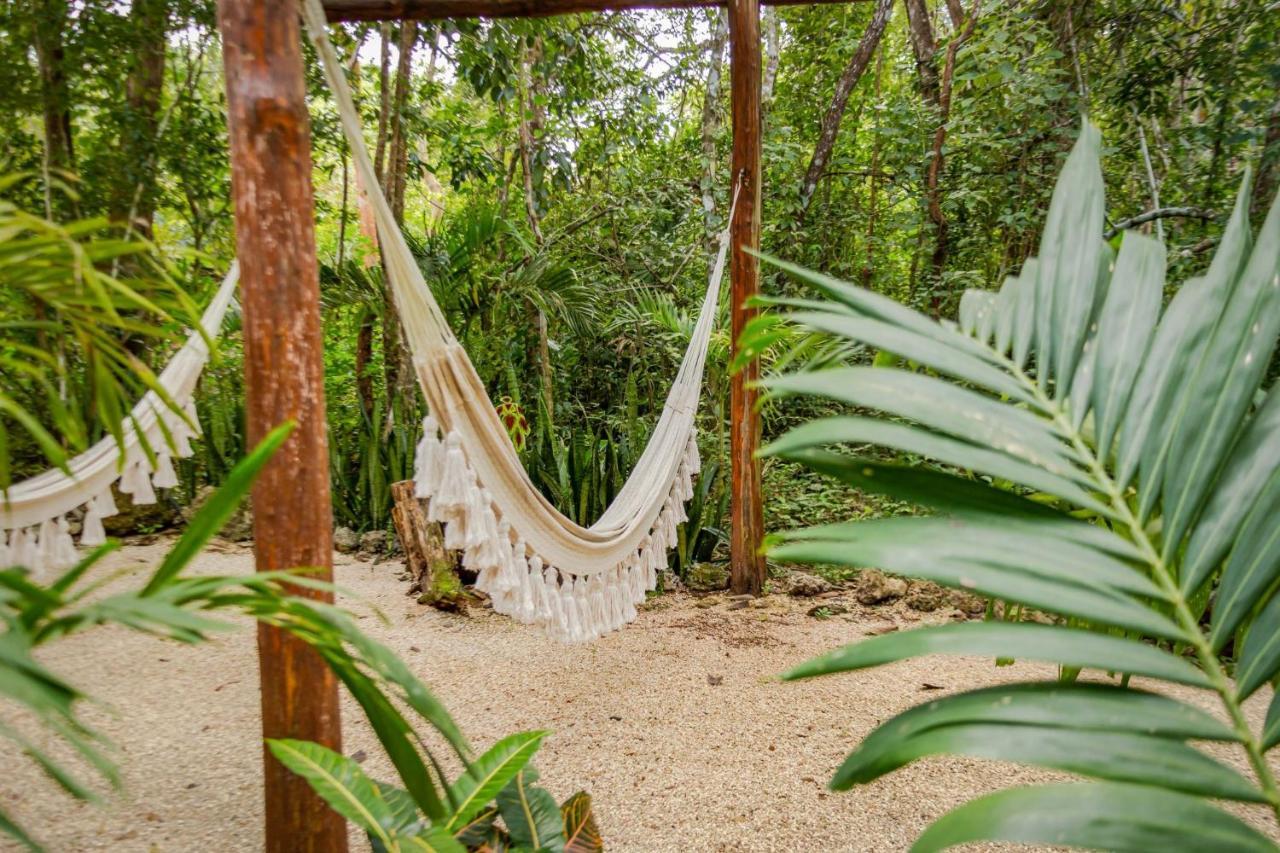 Madre Tierra Eco Habitat Guest House Puerto Morelos Ngoại thất bức ảnh