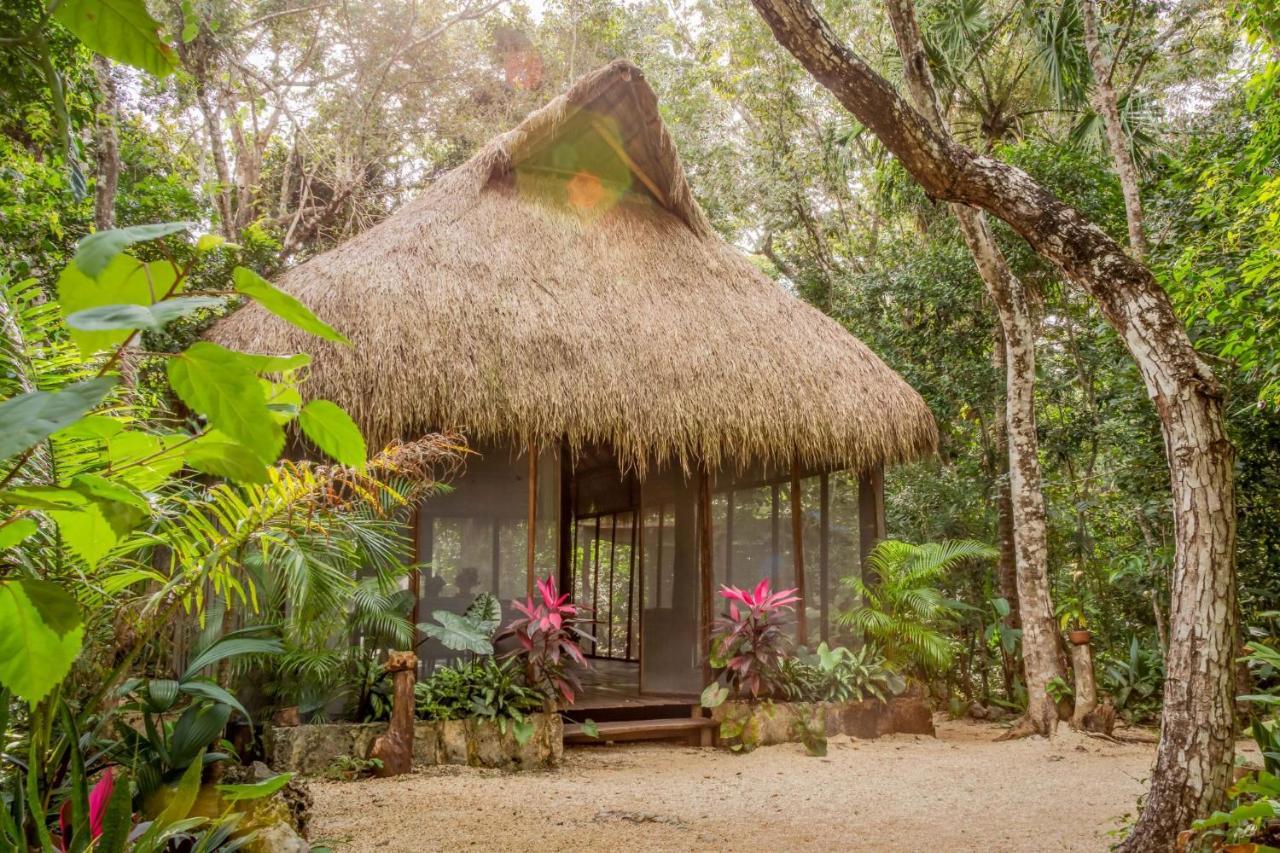 Madre Tierra Eco Habitat Guest House Puerto Morelos Ngoại thất bức ảnh