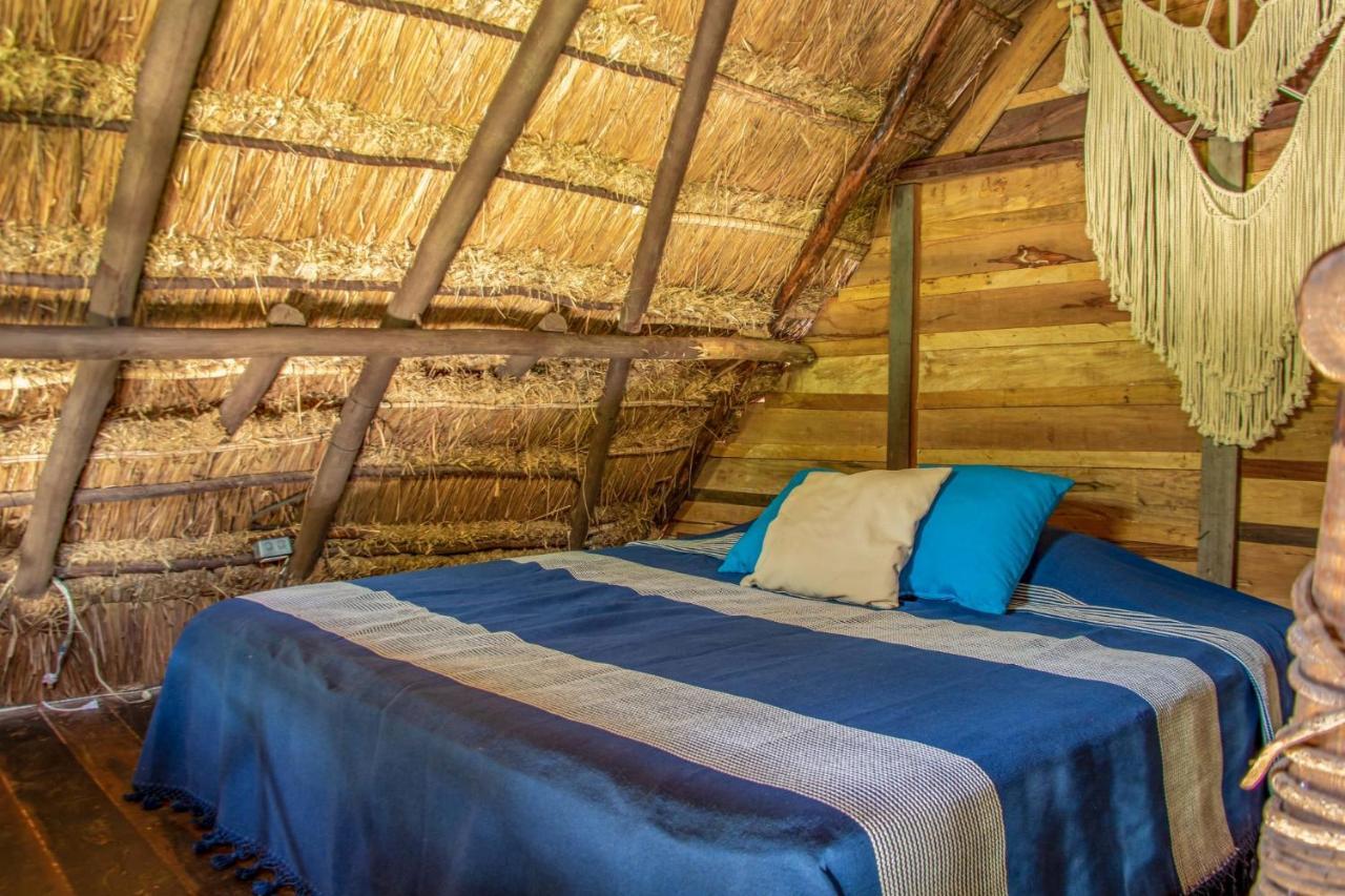 Madre Tierra Eco Habitat Guest House Puerto Morelos Ngoại thất bức ảnh