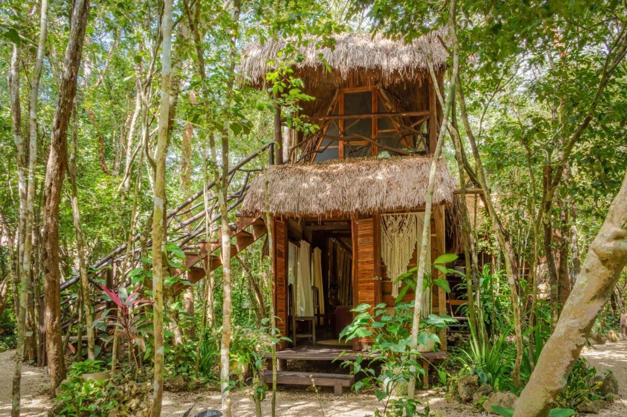 Madre Tierra Eco Habitat Guest House Puerto Morelos Ngoại thất bức ảnh