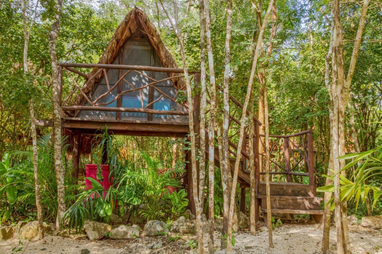 Madre Tierra Eco Habitat Guest House Puerto Morelos Ngoại thất bức ảnh