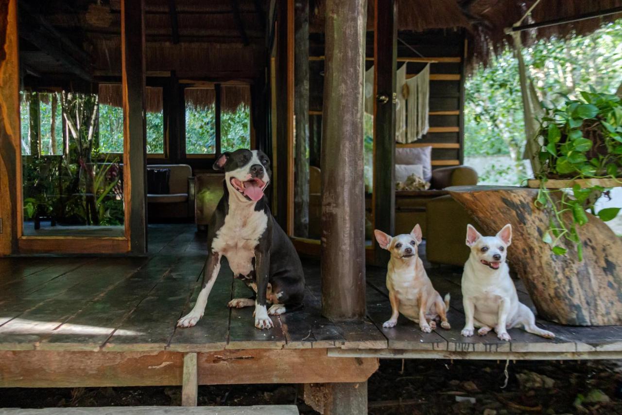 Madre Tierra Eco Habitat Guest House Puerto Morelos Ngoại thất bức ảnh