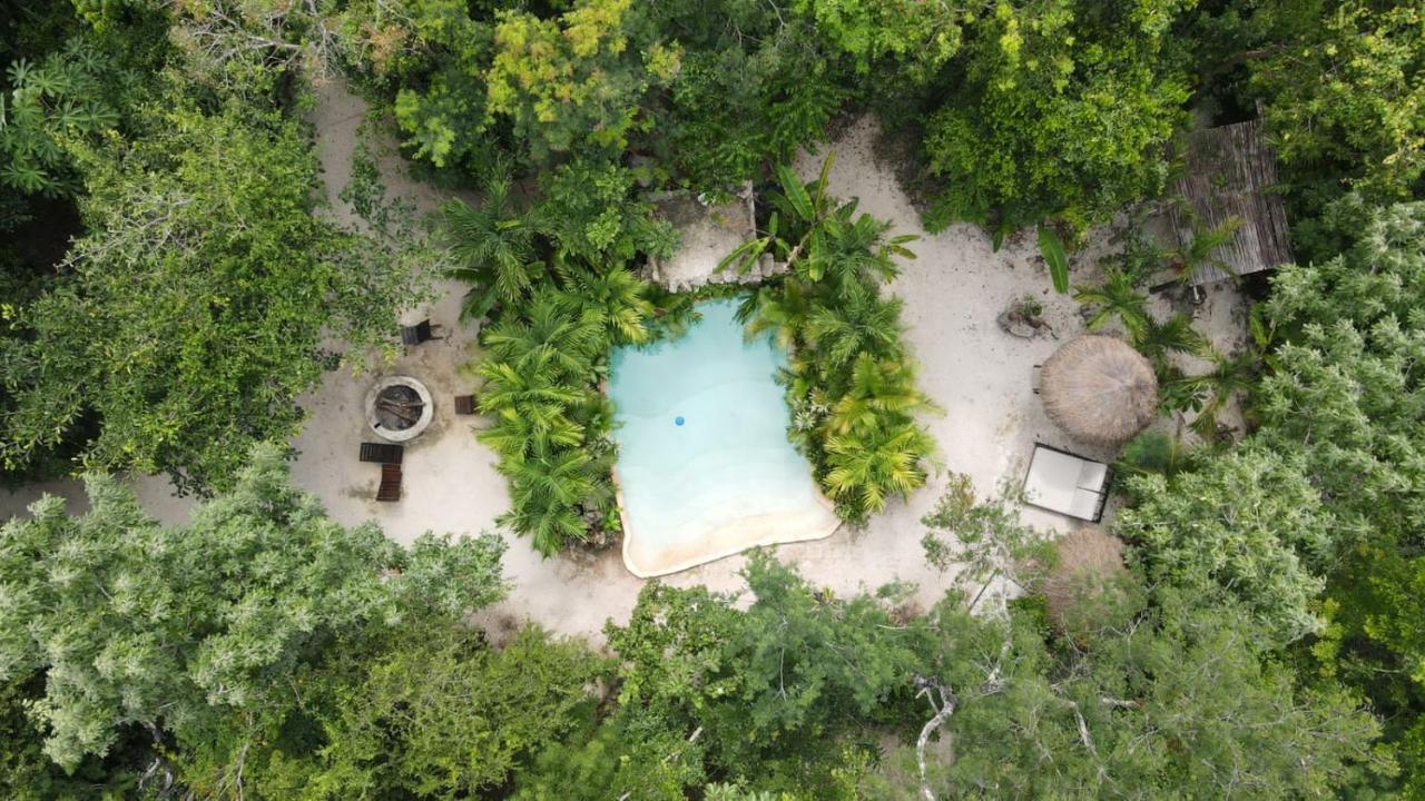 Madre Tierra Eco Habitat Guest House Puerto Morelos Ngoại thất bức ảnh