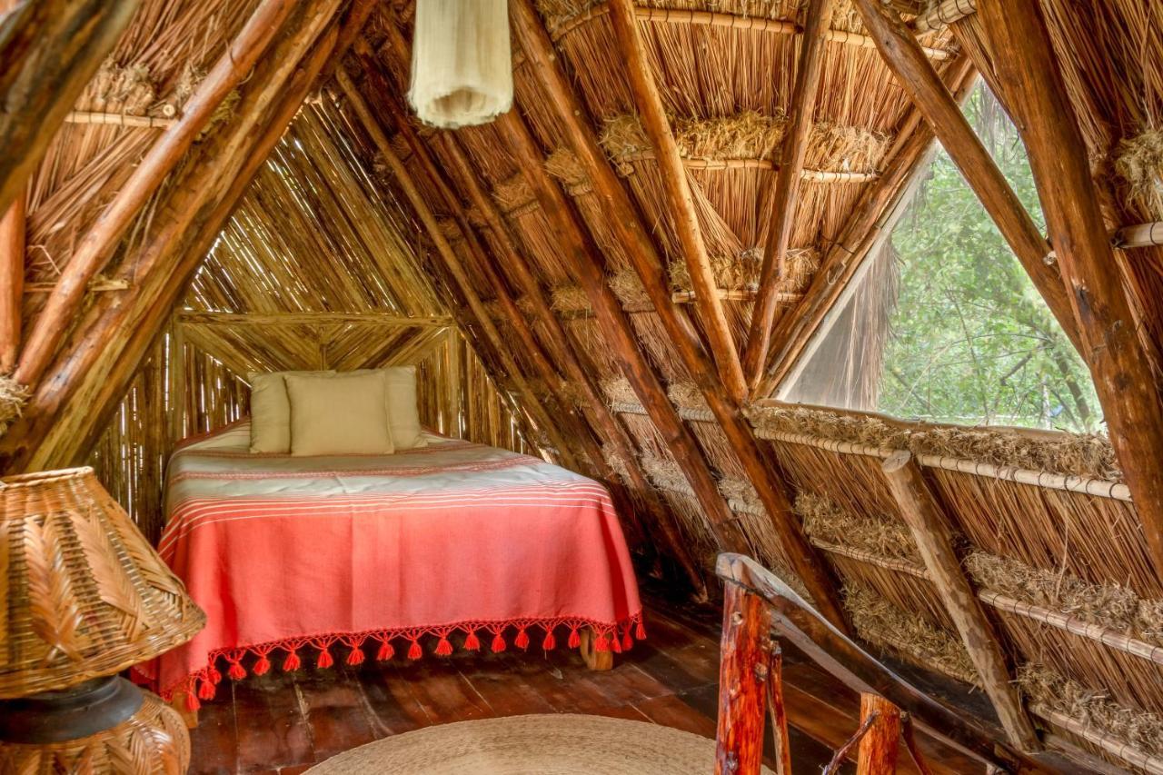 Madre Tierra Eco Habitat Guest House Puerto Morelos Ngoại thất bức ảnh