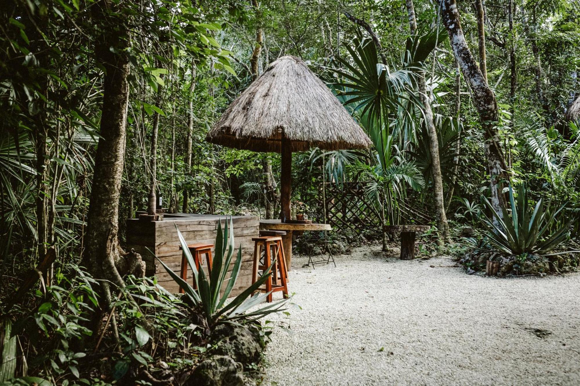 Madre Tierra Eco Habitat Guest House Puerto Morelos Ngoại thất bức ảnh