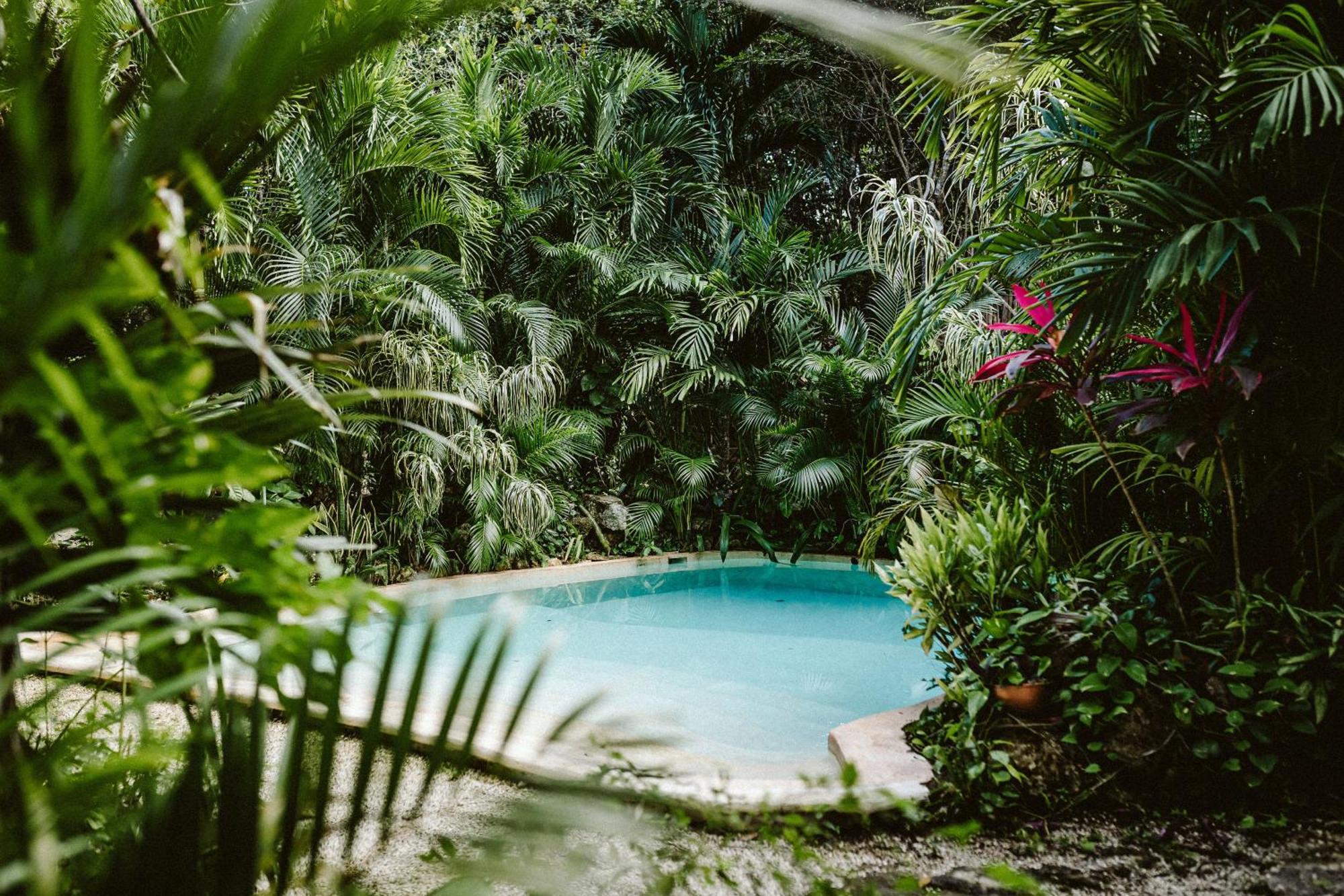 Madre Tierra Eco Habitat Guest House Puerto Morelos Ngoại thất bức ảnh