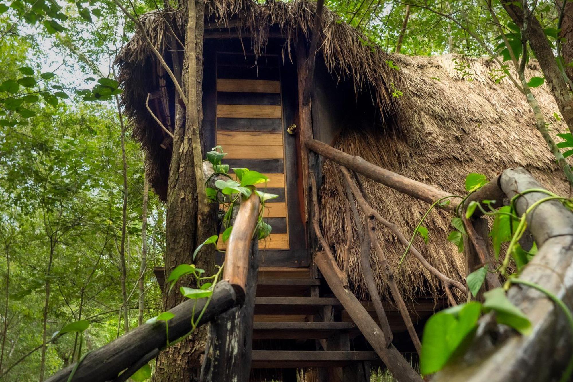 Madre Tierra Eco Habitat Guest House Puerto Morelos Ngoại thất bức ảnh